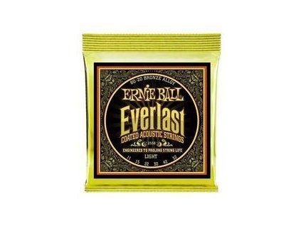 Ernie Ball Everlast