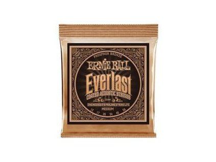 Ernie Ball Everlast