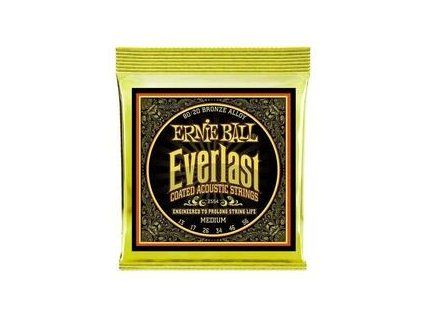 Ernie Ball Everlast