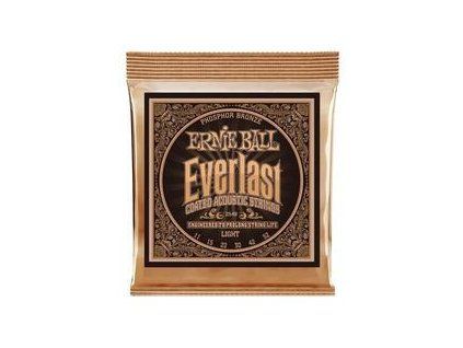 Ernie Ball Everlast