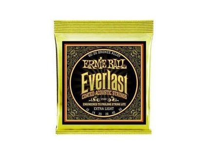 Ernie Ball Everlast