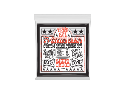 Ernie Ball Banjo