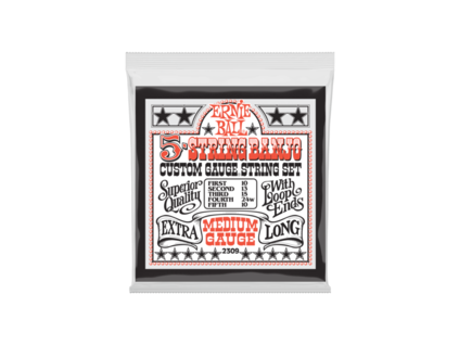 Ernie Ball Banjo