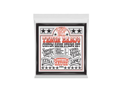 Ernie Ball Banjo