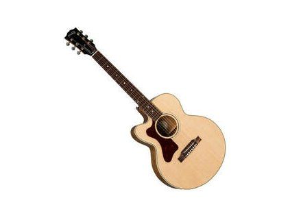Gibson Parlor AG 2019 Antique Natural Bottom and