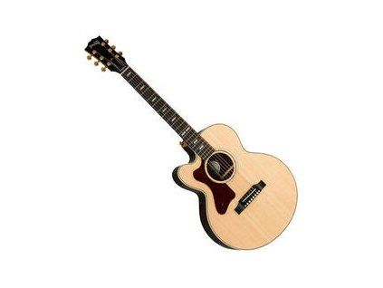 Gibson Parlor AG 2019 Rosewood Antique Natural Lefty