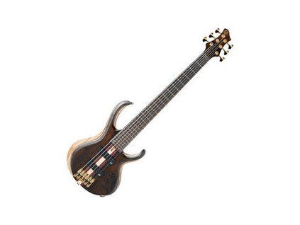 Ibanez Natural Low Gloss