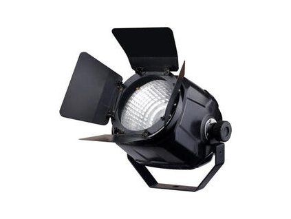 Fractal Lights PAR LED 100 W DMX
