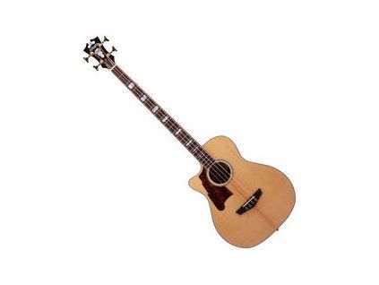 D'Angelico Excel Mott