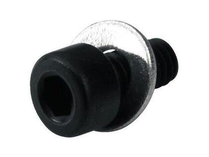 Floyd Rose Vibrato Arm Screw with Washer