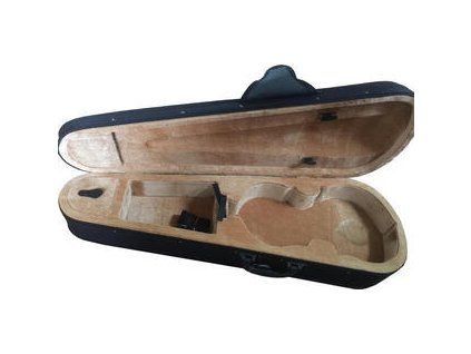 Pasadena Protective case for violin