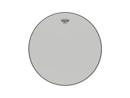 Remo 11" Banjo Head