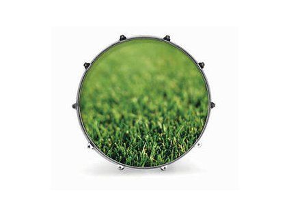 Evans INK24NTRGRAS 24" NATURE GRASS Resonant Drum Head