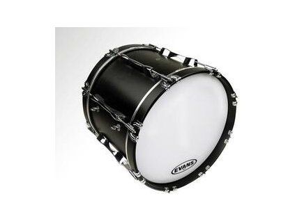 Evans Drum Head