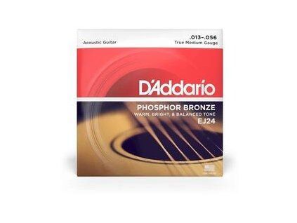 D'Addario EJ24